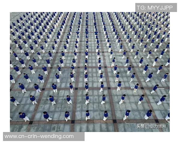 沾化区2025年功夫、健身气功、太极拳联席会满意闭幕